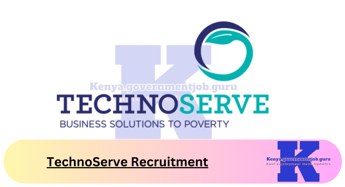 TechnoServe Recruitment