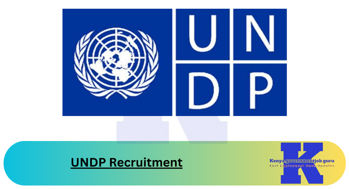 UNDP Recruitment