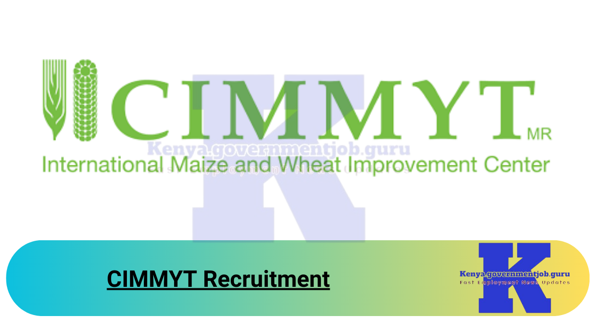 CIMMYT Recruitment