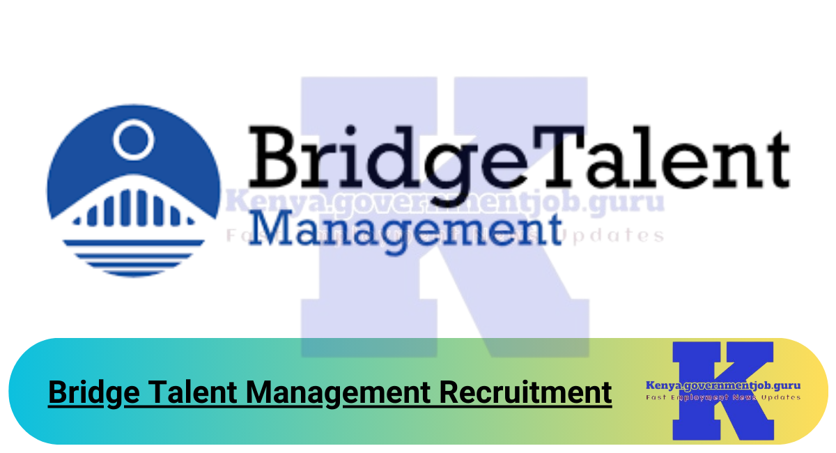 Bridge Talent Management Recruitment